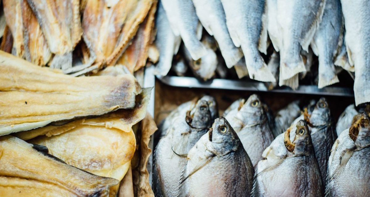 https://www.ubf-lex.it/wp-content/uploads/2021/12/chuttersnap-z0iMCyHwEo4-unsplash-scaled-e1640866530690-1200x640.jpg
