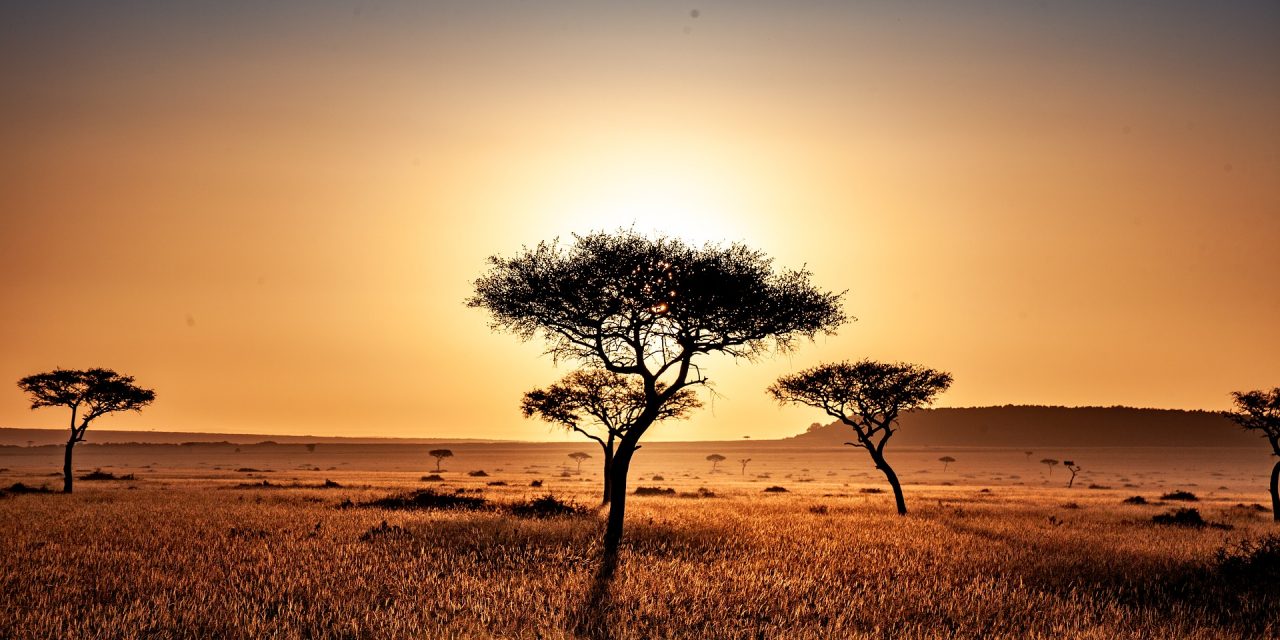 https://www.ubf-lex.it/wp-content/uploads/2024/06/kenya-4119572_1920-1280x640.jpg