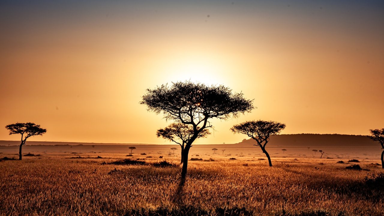 https://www.ubf-lex.it/wp-content/uploads/2024/06/kenya-4119572_1920-1280x720.jpg