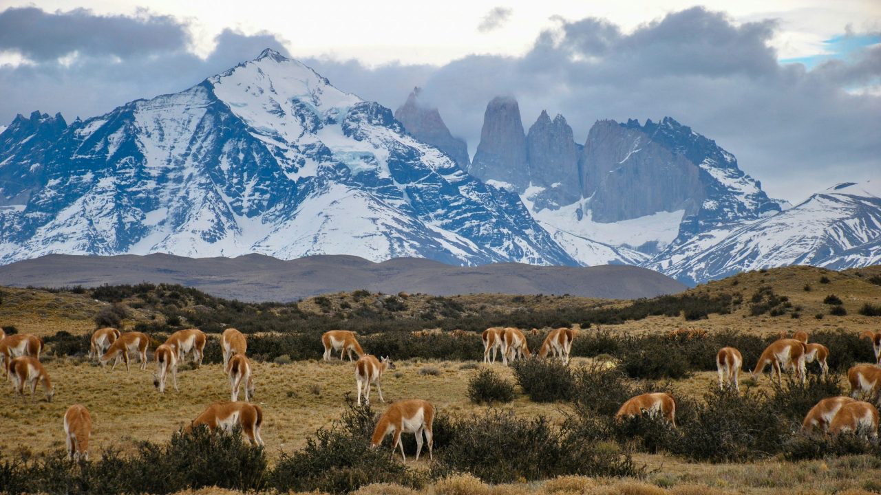 https://www.ubf-lex.it/wp-content/uploads/2025/01/Foto-di-Alex-Wolowiecki-su-Unsplash-scaled-e1738332448534-1280x720.jpg